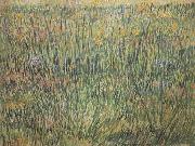 Vincent Van Gogh Pasture in Bloom (nn04) china oil painting artist